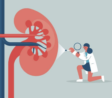 신장에 좋은 음식 신장 안좋으면 나타나는 현상 등 알아보기(24년 Ver)