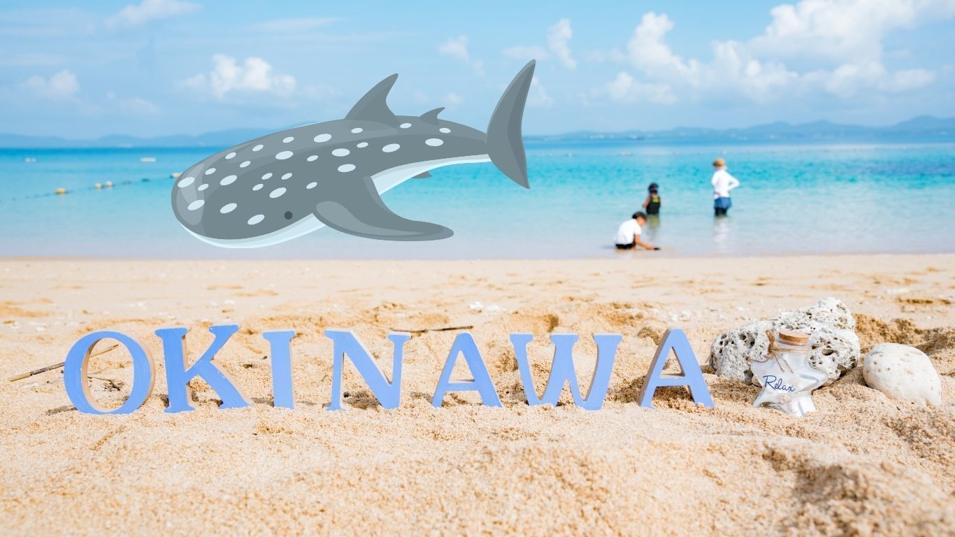오키나와를 상징하는 로고와 바닷가 사진
