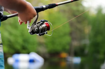 낚시터 창업에 대하여 알아보기