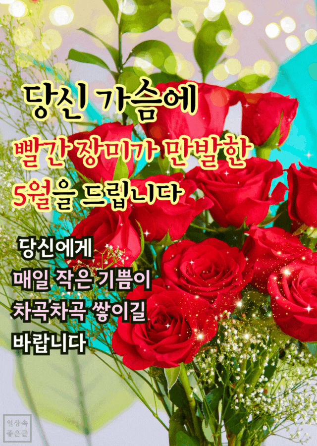 화사한 장미꽃 배경 위에 5월의 따뜻한 인사를 전하는 감성 글귀