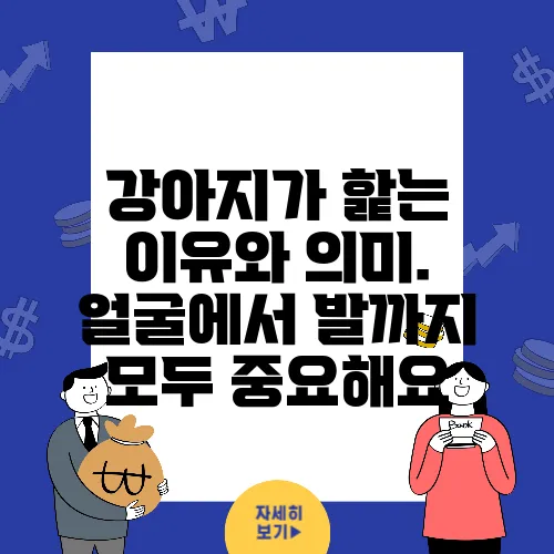 강아지가 핥는 이유와 의미. 얼굴에서 발까지 모두 중요해요