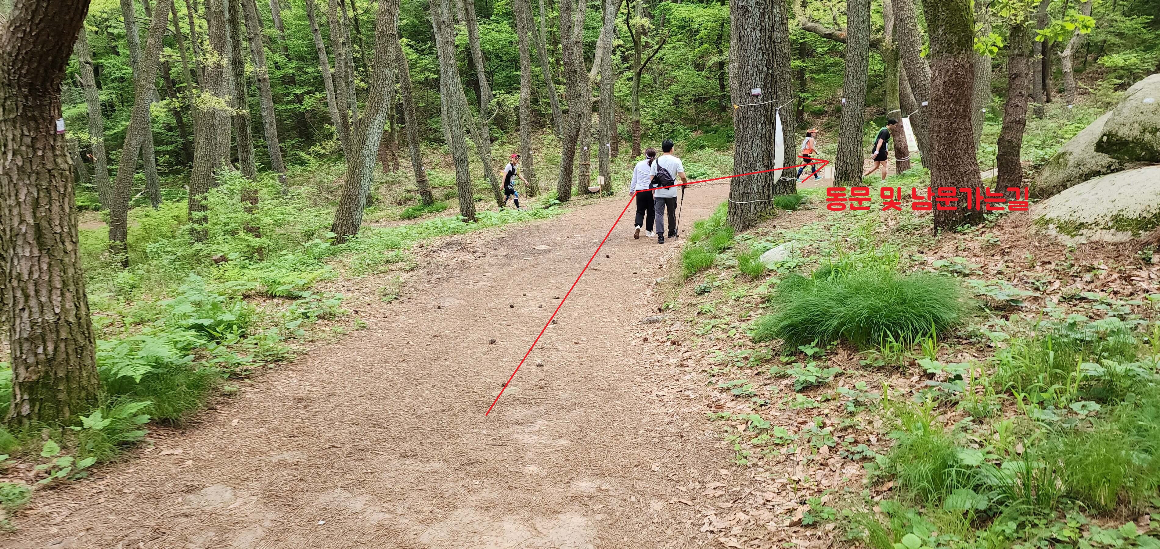 금정산 등산코스 케이블카 이용 초보코스9