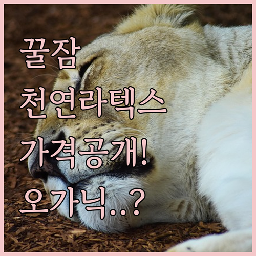 숙면 돕는 천연라텍스 죽부인 바디필로..