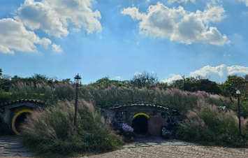 제주 한달살기 후기