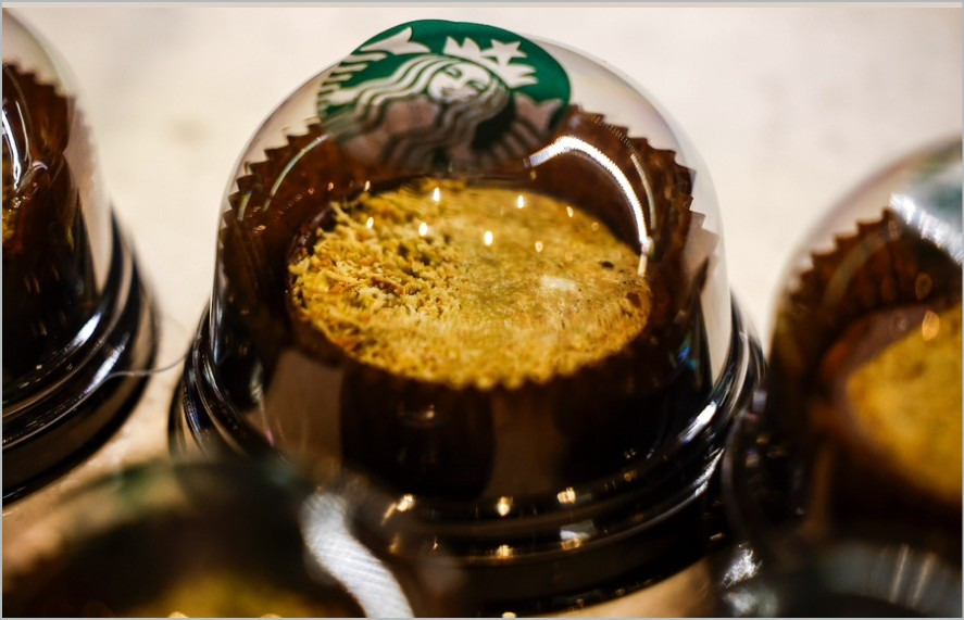 스타벅스 두쫀쿠 스벅 두쫀롤 두바이두쫀롤 파는 곳 구매방법