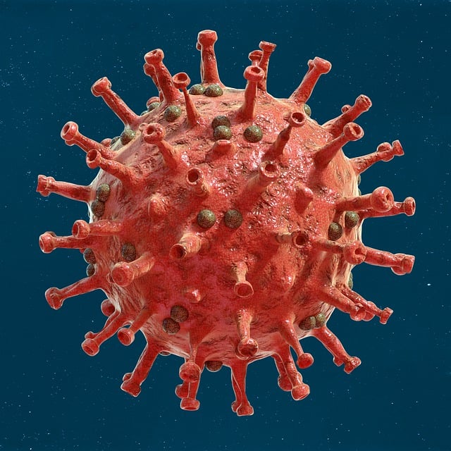 날계란 유통기한