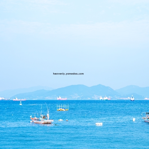 6월에 가볼만한 국내 여행지