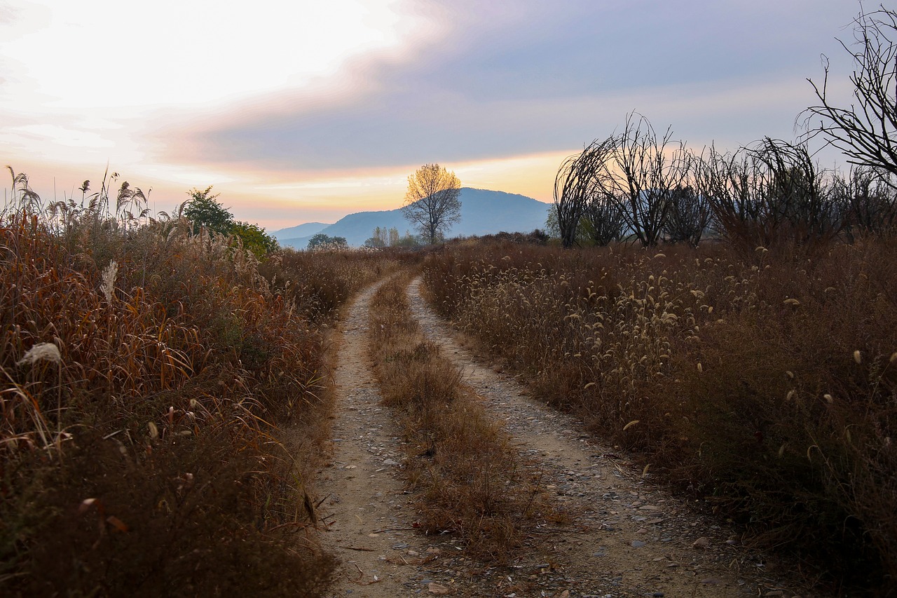 주변 인기장소 안내