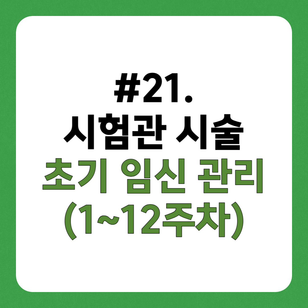 시험관 시술 성공 후, 임신 초기 관리 (1~12주차)