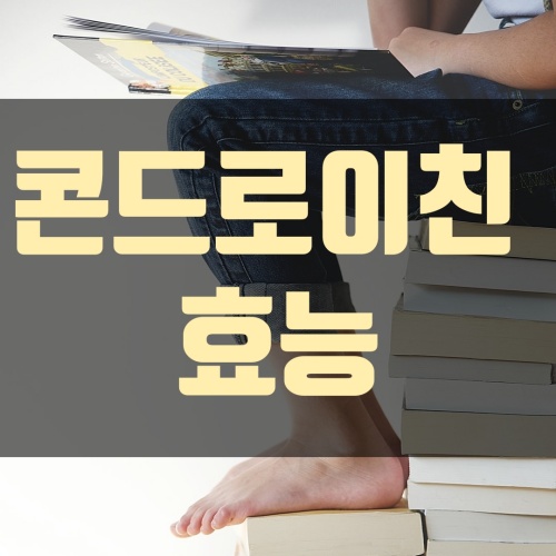 무릎 관절 사진