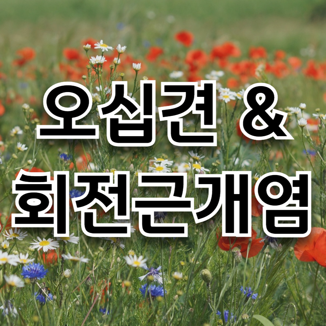 오십견 원인과 증상 썸네일