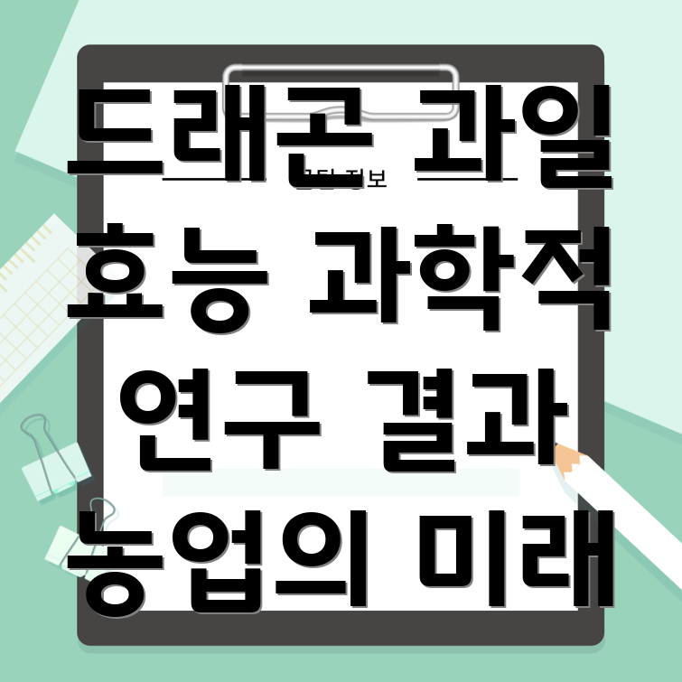 드래곤 과일