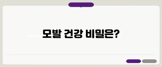 50대 여성 탈모 관리의 비결 – 모발 건강을 지키는 생활 습관을 실천하자