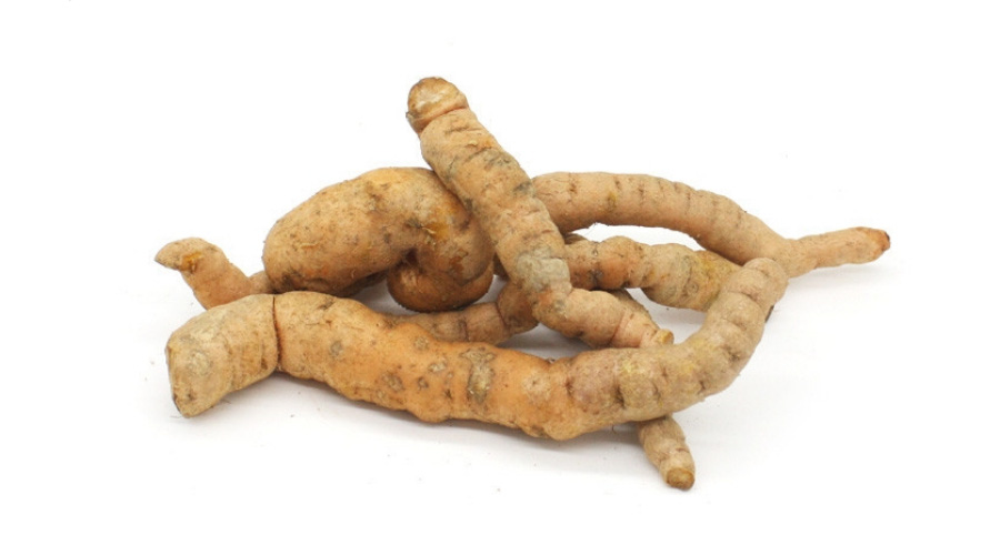 야생에서 채취를 한 생지황을 깨끗하게 씻은 후에 하얀 바닥 위에 5~6개 정도 놓아두고 찍은 사진