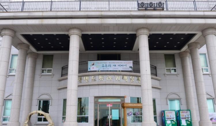 안면도 쥬라기박물관