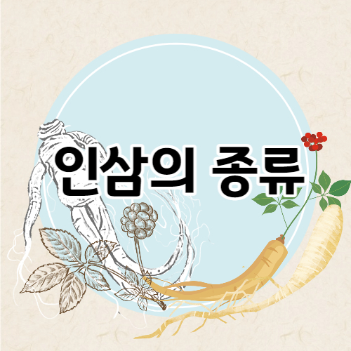 인삼의 종류 흑삼, 홍삼, 백삼, 수삼
