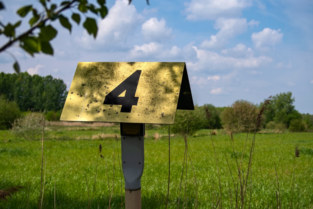 'Rankings'