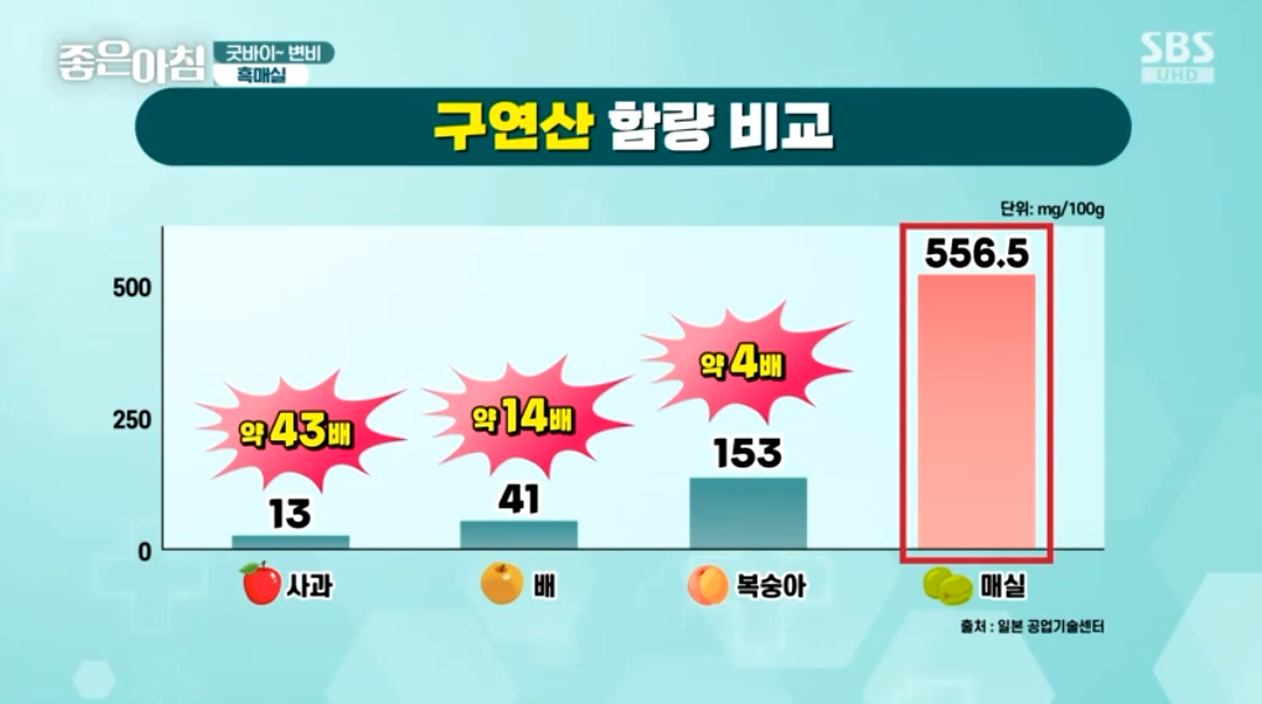 매실 흑매실 효능 매실짱아찌 매실청 만드는법