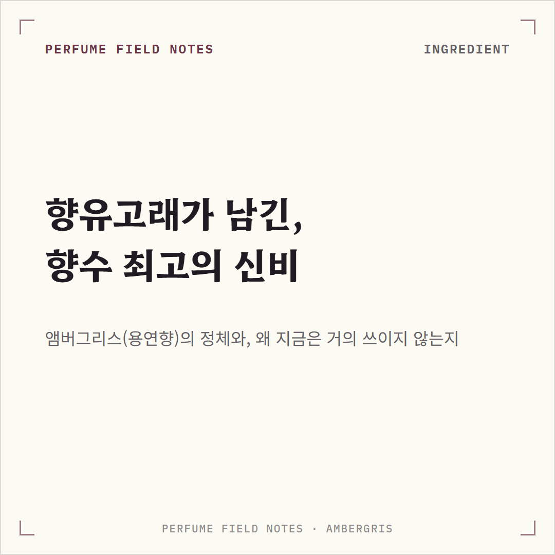 앰버그리스 노트 사진