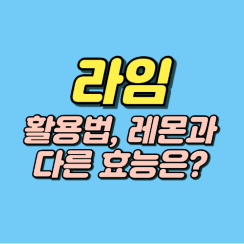 라임 효능 부작용