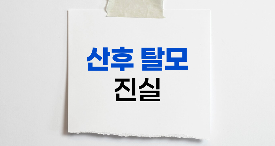 산후 탈모의 진실, 일시적 현상인가 영구적 문제인가