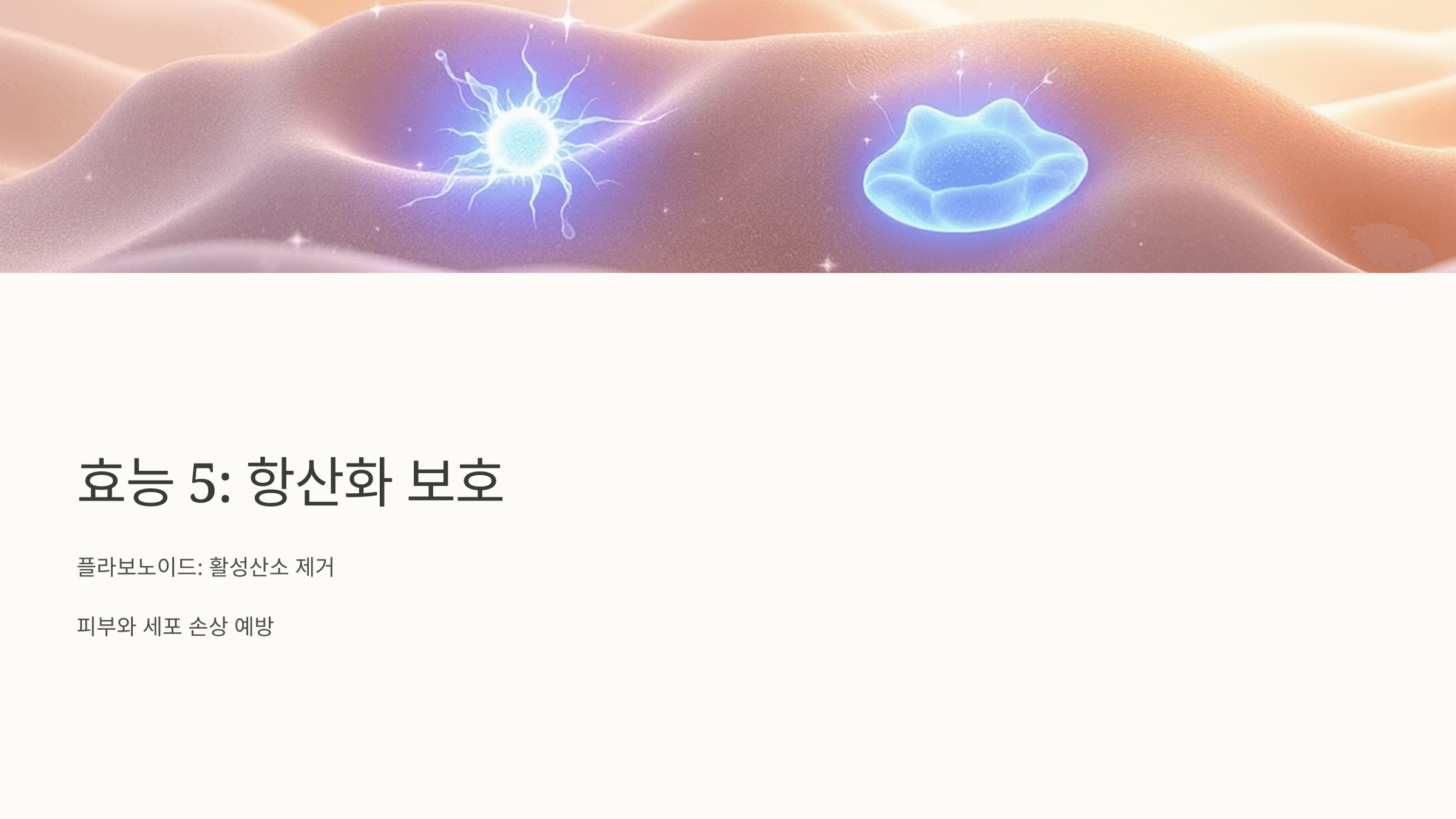 칡즙 사진입니다.