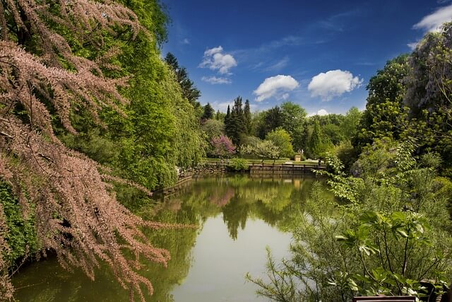 광릉수목원예약방법과 주차,둘레길정보