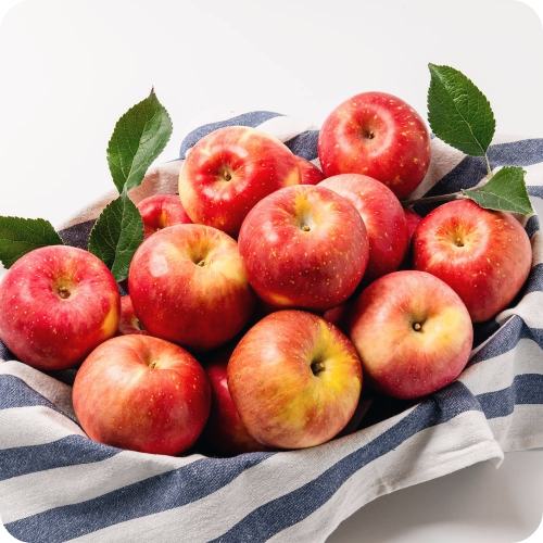 골다공증에-좋은-음식