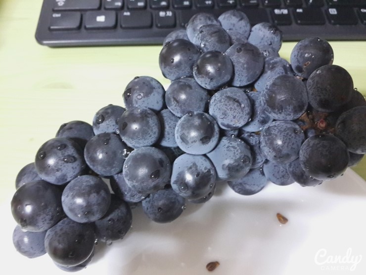 포도 효능 부작용