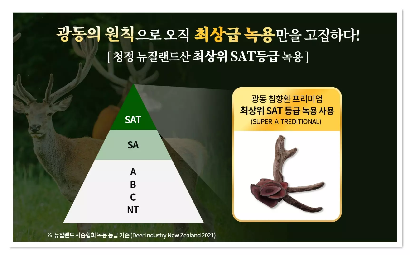 광동 침향환 녹용