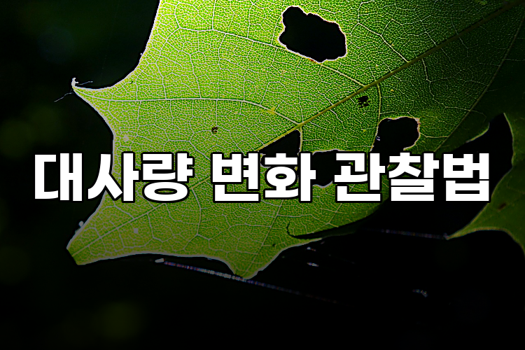 대사량 변화 관찰법