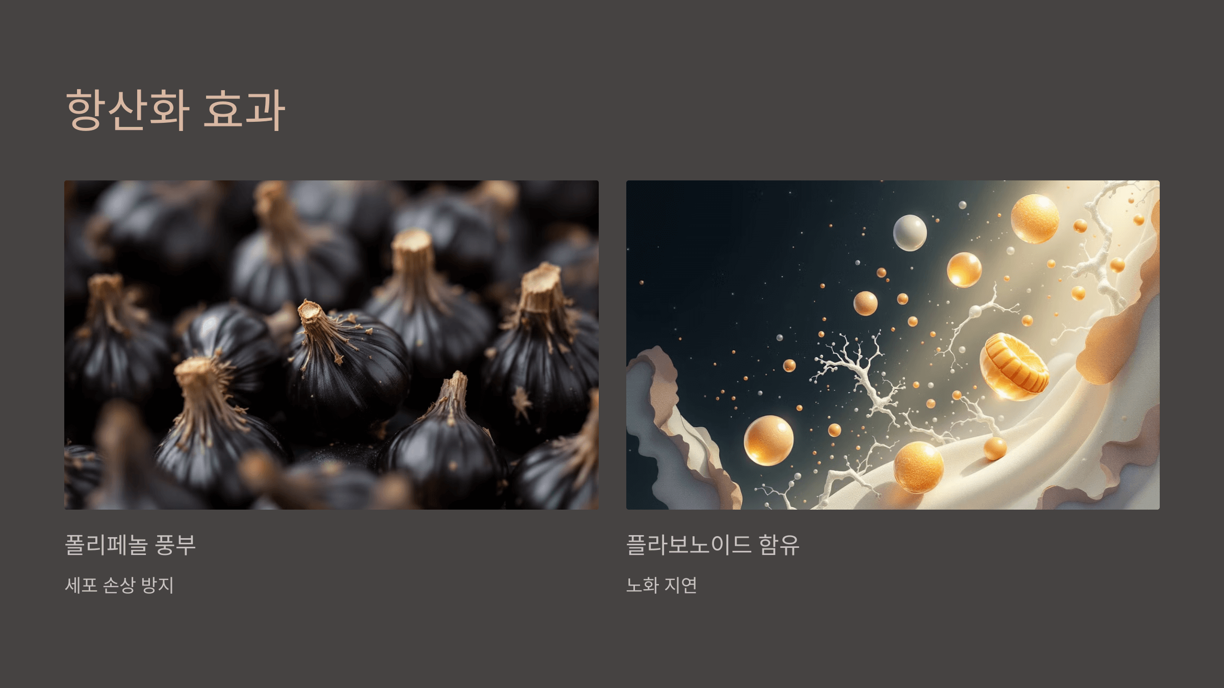 흑마늘 꿀절임 사진입니다.