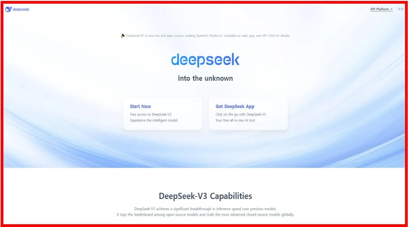 DeepSeek 사용법