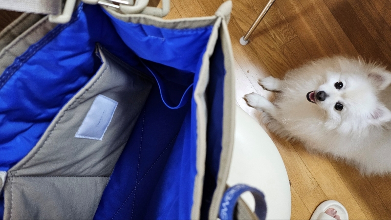 스위치 노트북 가방19