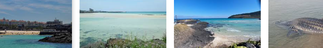 함덕 해슈욕장 바닷가 그리고 상어 출몰함 부분