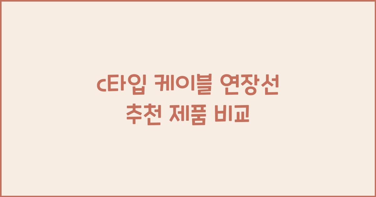 c타입 케이블 연장선