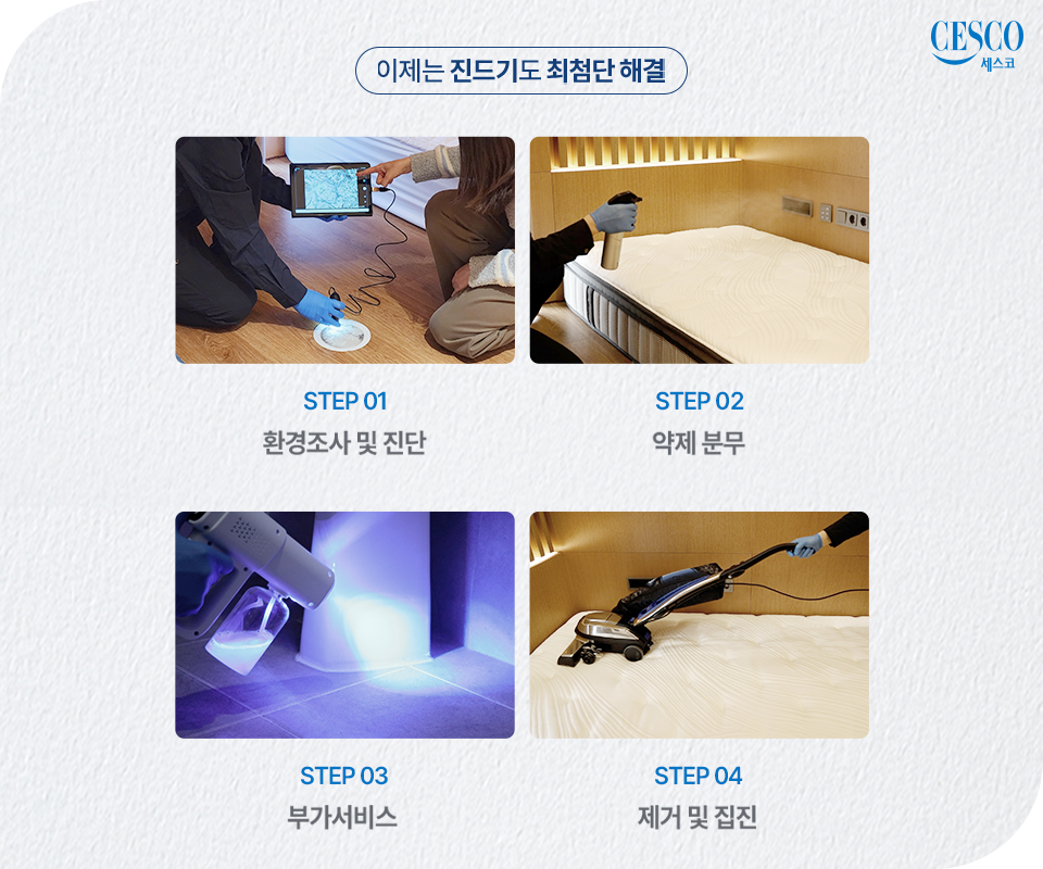 세스코 가정집 가격&amp;#44; 비용&amp;#44; 방역비용&amp;#44; 세스코 진드기 케어 서비스 완벽 가이드