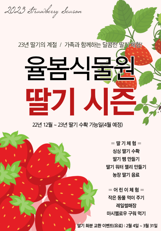 딸기 축제 포스터