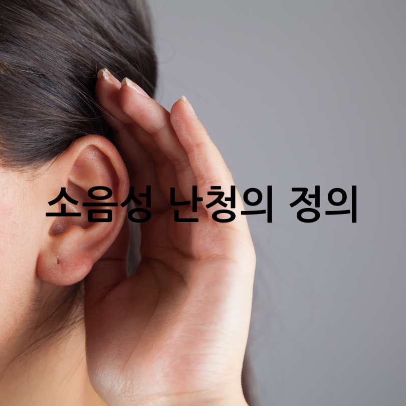 소음성 난청