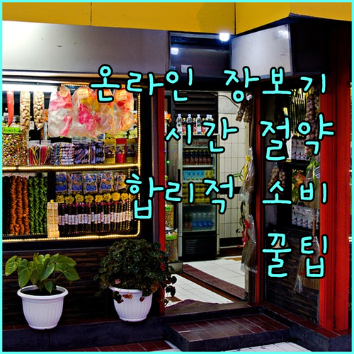 온라인 장보기 활용법: 시간 절약과 