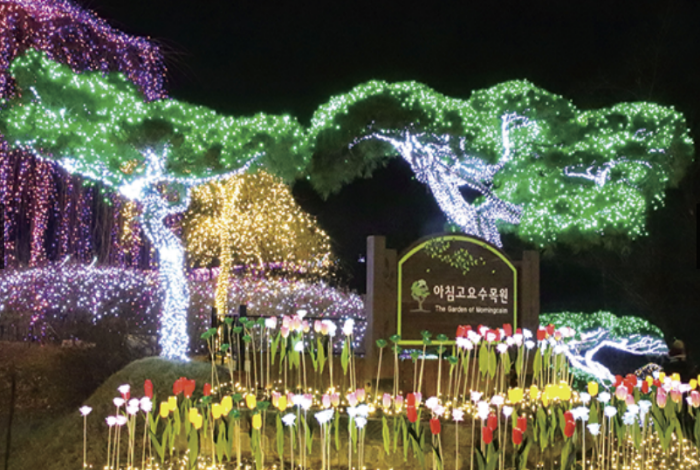 국내 크리스마스 여행