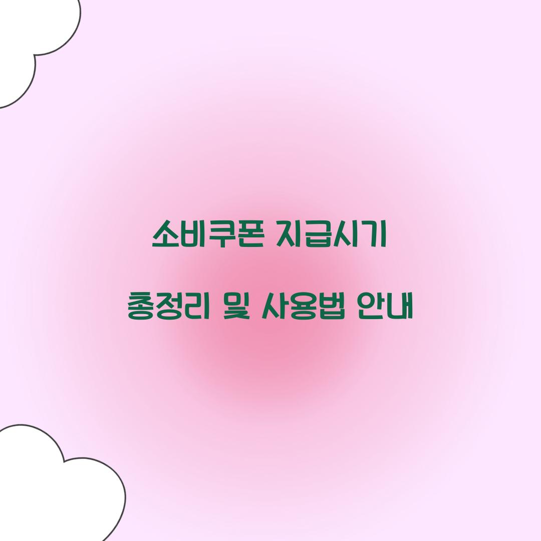 소비쿠폰 지급시기