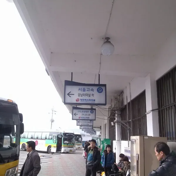 영천 시외버스터미널 시간표 예매 요금_3