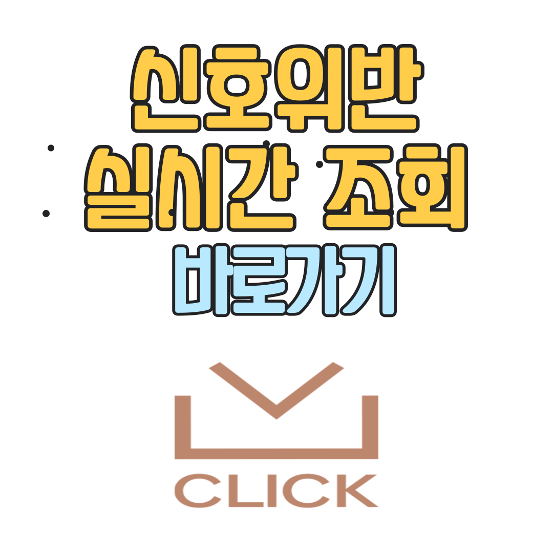 신호위반 실시간 조회