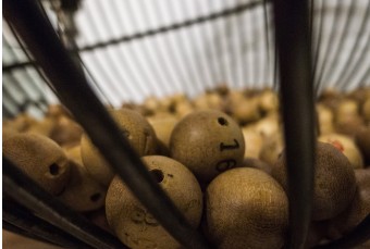 로또 복권판매점 신청방법관련 사진