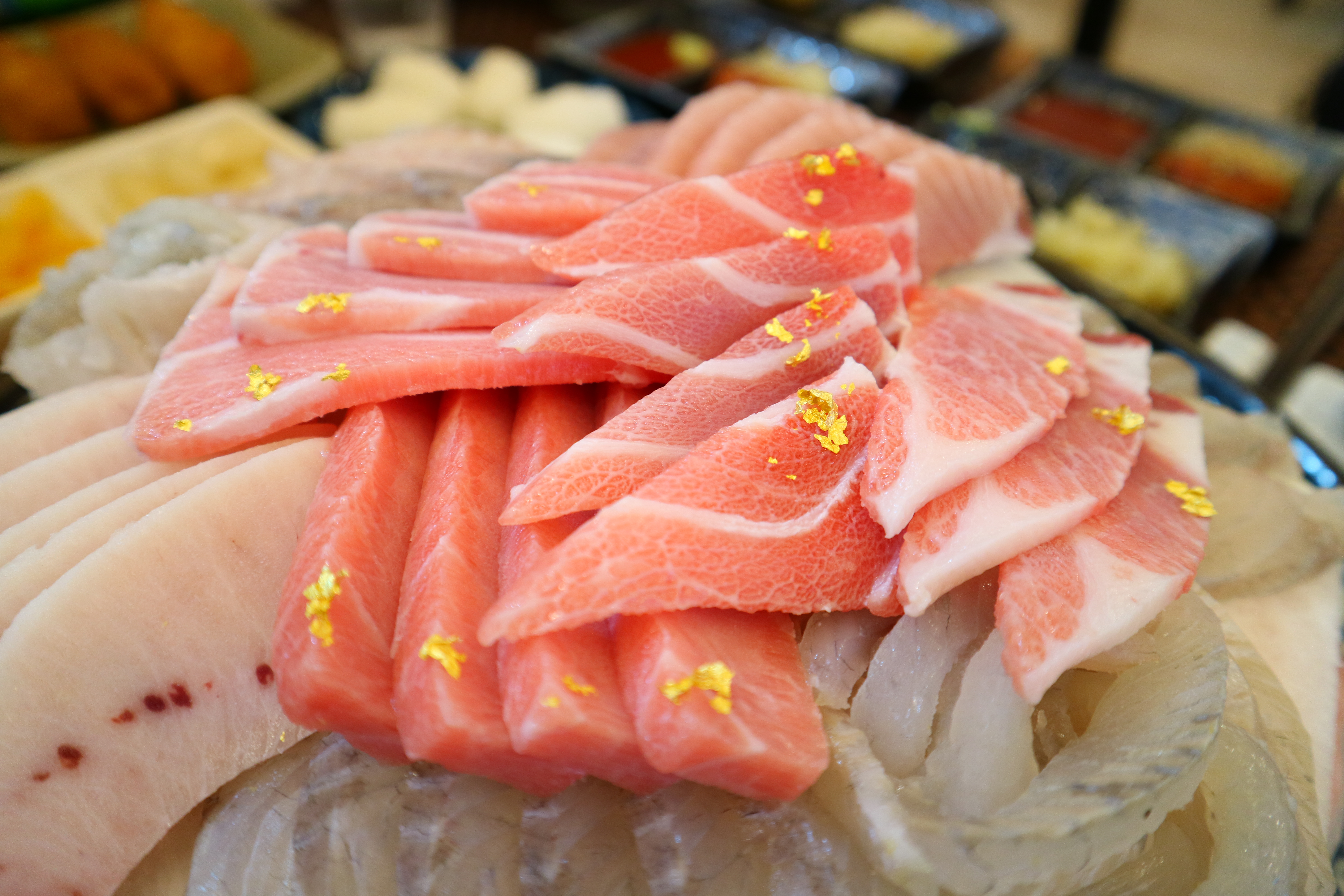 붉은 참치 보정 전