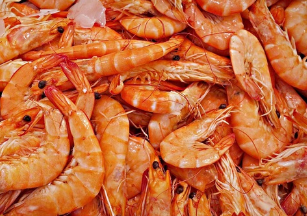 오메가-3 지방산