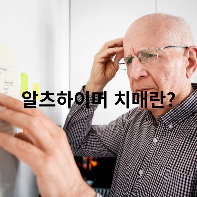 알츠하이머 치매와 혈관성 치매의 차이점