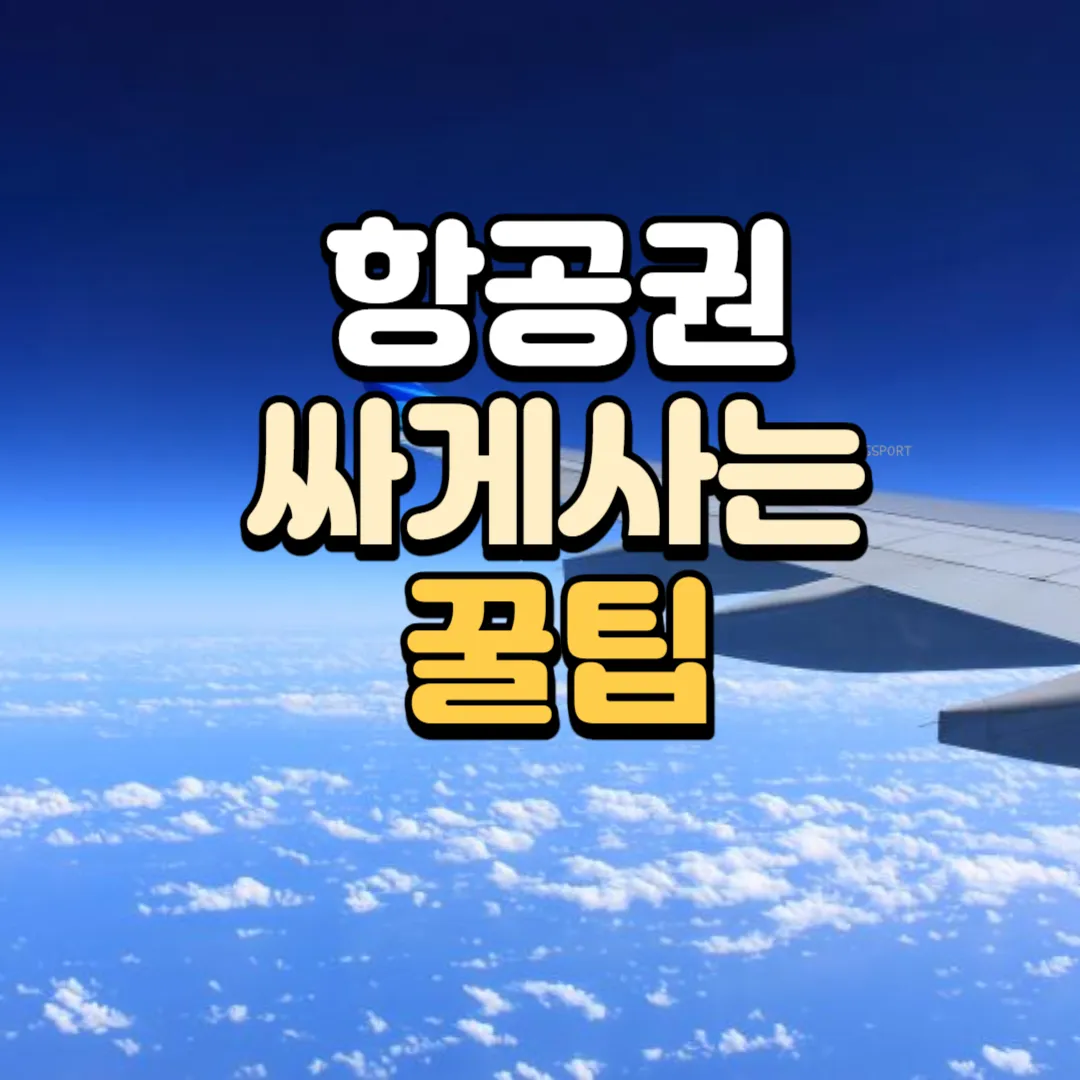 항공권 싸게 구입하는 방법_(땡처리 항공권 구매)