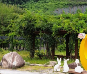 6월 전국 등나무꽃 명소 TOP 5